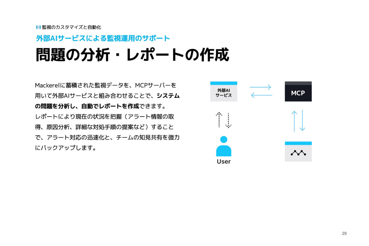 mackerel_overview_05