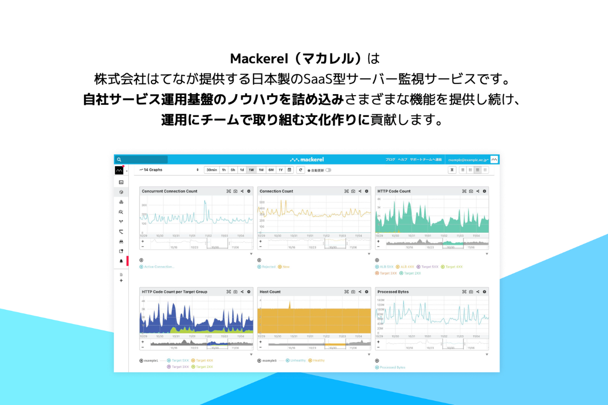 mackerel_overview_06